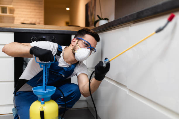 Pest Prevention Services in Newington Forest, VA